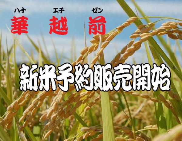 新米 令和7年新米 紀州産 華越前(30kg)