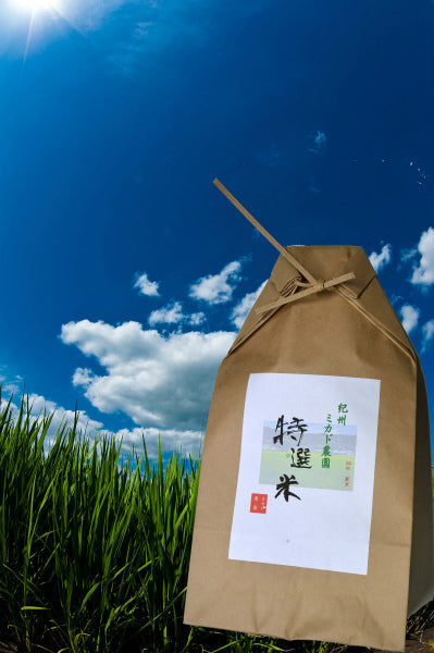 令和7年産 新米 紀州産 ヒノヒカリ(30kg)