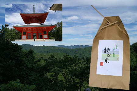 新米 令和7年産 紀州産 コシヒカリ(30kg)