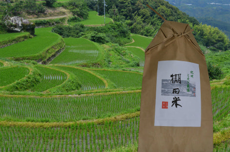 【棚田米】
岡山県高梁市産R7年 ひとめぼれ 30kg棚田米⑥ 清流の里 吟味棚田米(30kg) – 株式会社アグリック和歌山