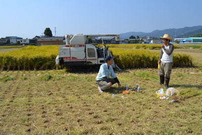 稲刈りの風景アップロ－ドしました。