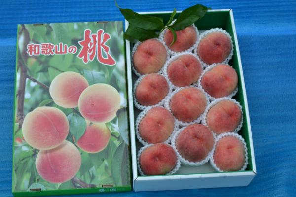 白鳳(4kg箱 12〜15個入り)　(完売)